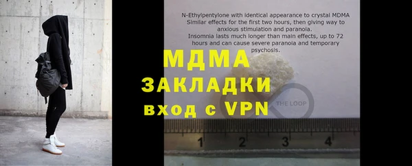 шишки Ельня