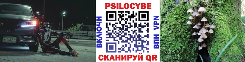 hydra зеркало  Камышлов  Псилоцибиновые грибы GOLDEN TEACHER 