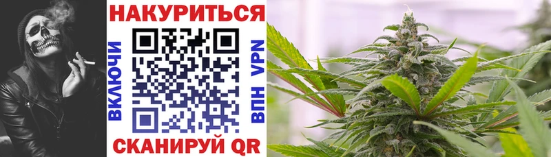 Конопля сатива  Камышлов 